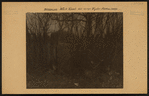 Brooklyn: Neck Road - Ryder Avenue