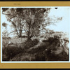 Brooklyn: Neck Road - Willoughby Street