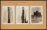 Brooklyn: Elliott Place N. - Park Avenue