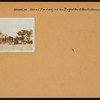 Brooklyn: Ocean Parkway - Prospect Avenue