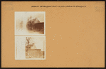 Brooklyn: Old Woodpoint Road - Skillman Avenue