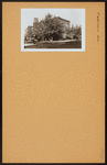 Brooklyn: Patchen Avenue - McDonough Street