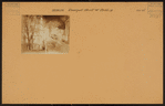 Brooklyn: Pierrepont Street - Clinton Street