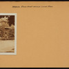 Brooklyn: Plaza Street - Lincoln Place