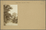 Brooklyn: Prospect Park - East Drive.