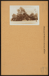 Brooklyn: St. Mark's Avenue - New York Avenue