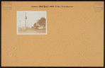 Brooklyn: Shell Road - Triton Avenue