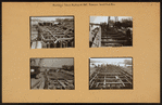 Brooklyn: Shore Boulevard - Emmons Avenue