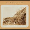Brooklyn: Shore Road - 83rd Street