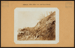 Brooklyn: Shore Road - 83rd Street