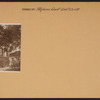 Brooklyn: Stephens Court - 23rd Street (East)