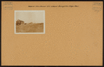 Brooklyn: Utica Ave. - Farragut Rd.