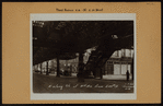 Manhattan: 3rd Avenue - 34th Street (East)