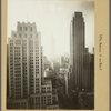 Manhattan: 5th Avenue - [Between 42nd and 44th Streets]