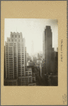 Manhattan: 5th Avenue - [Between 42nd and 44th Streets]