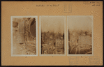 Manhattan: 6th Avenue - 42nd Street (West)