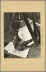 Manhattan: 14th Street (West) - 6th Avenue