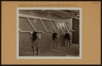 Manhattan: 18th Street (West) - 4th Avenue