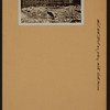 Manhattan: 40th Street (West) - 9th Avenue