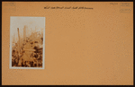 Manhattan: 50th Street (West) - 5th Avenue