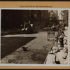 Manhattan: 83rd Street (East) - 2nd Avenue