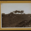 Manhattan: 101st Street - Madison Avenue