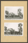 Manhattan: Amsterdam Avenue - Cathedral Parkway
