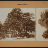 Manhattan: Broadway - Whitehall Street