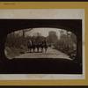 Manhattan: Central Park - [Spring in Central Park.]