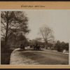 Manhattan: Central Park - West Drive.