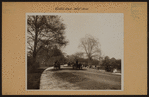 Manhattan: Central Park - West Drive.