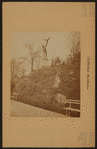 Manhattan: Central Park - Miscellaneous.