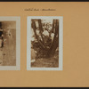 Manhattan: Central Park - Miscellaneous.