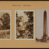 General view - Manhattan - Central Park - The Obelisk.