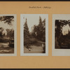 Manhattan: Central Park - Pathways [near the Mall].
