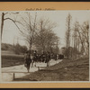 Manhattan: Central Park - Pathways - [The donkey-walk.]