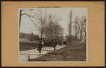 Manhattan: Central Park - Pathways - [The donkey-walk.]