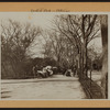 Manhattan: Central Park - Pathways and East Drive.