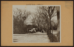 Manhattan: Central Park - Pathways and East Drive.