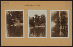 Manhattan: Central Park - The Pond.