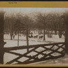 Manhattan: Central Park - Rustic Arbor.