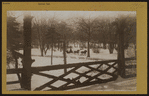 Manhattan: Central Park - Rustic Arbor.