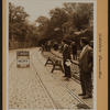 Manhattan: Central Park - Transverse roads.