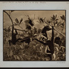 Manhattan: Central Park West - 77th Street (West)