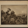 Manhattan: Central Park West - 77th Street (West)