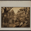 Manhattan: Central Park West - 77th Street (West)