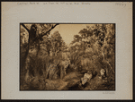 Manhattan: Central Park West - 77th Street (West)
