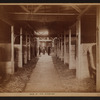 Manhattan: Columbus Circle - [Durland's Riding Academy, one of the stables.]