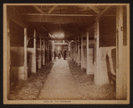 Manhattan: Columbus Circle - [Durland's Riding Academy, one of the stables.]