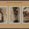 Manhattan: Riverside Drive - Van Siclen Avenue